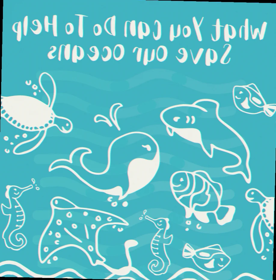 Dolphin conservation efforts northern territory
