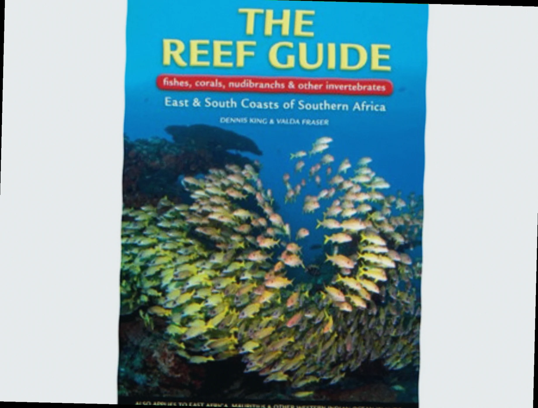 Great detached reef marine life checklist
