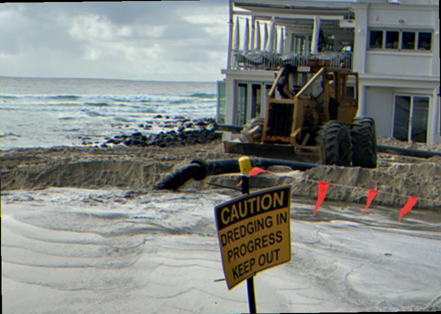 Impact of dredging seagrass gold coast