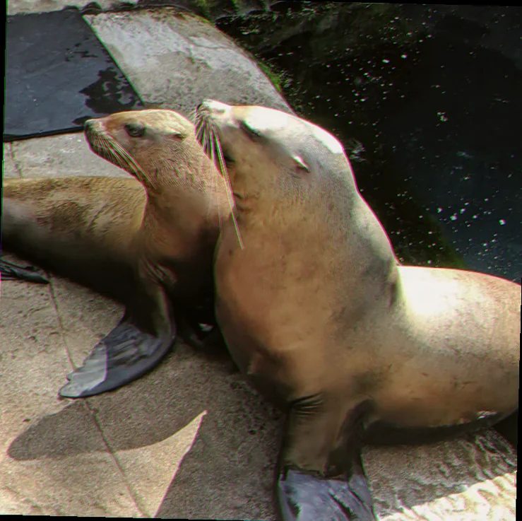 Methods of marine wildlife research in australia